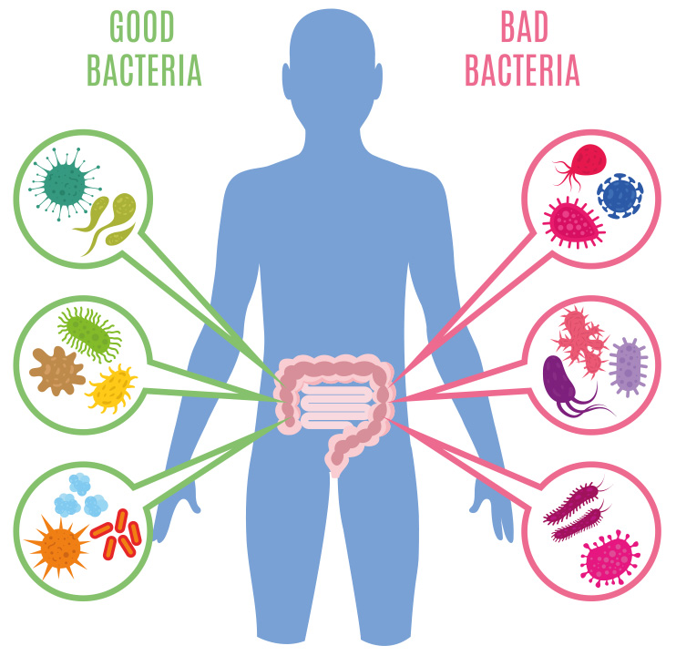 Why Biom? | BIOM Probiotics | Best Probiotics In Market Place