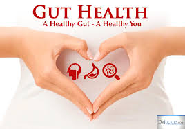 1- News | BIOM Probiotics | Sarasota | Microbiome’s health | Gut Microbiome Study