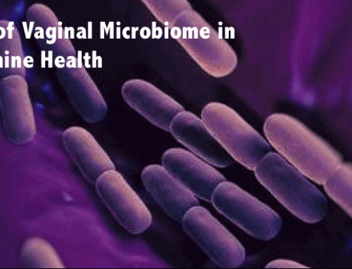 Healthy Microbiome may be Key in Preventing Ovarian Cancer