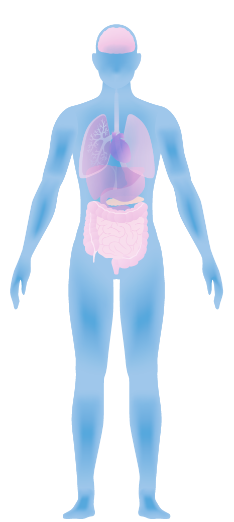 1- Healthy Balanced Microbiome | Human Microbiome | Biom Probiotics