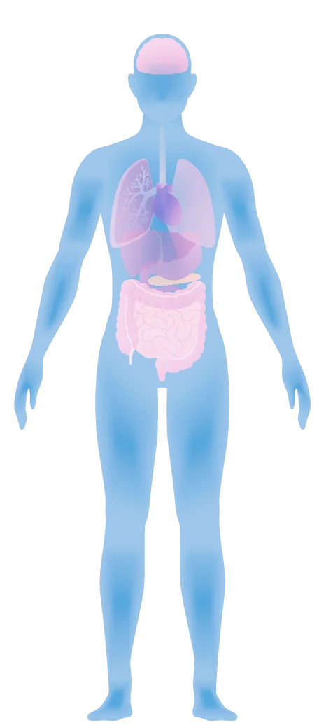 1- Healthy Balanced Microbiome | Human Microbiome | Biom Probiotics