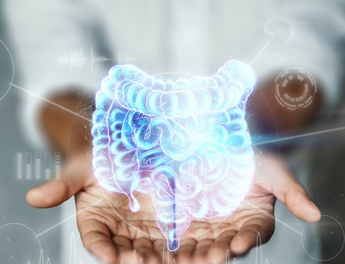 What is the Function of Microbiome in your Gut?