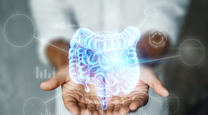 Function of Microbiome in your Gut