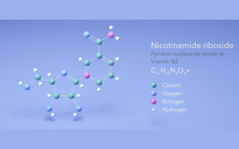 nad-vs-nmn