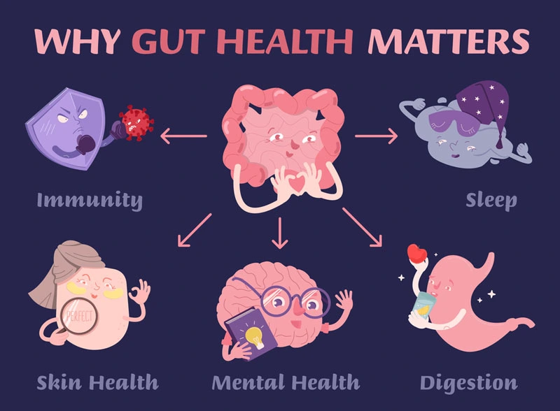 Gut-health-and-mental-health