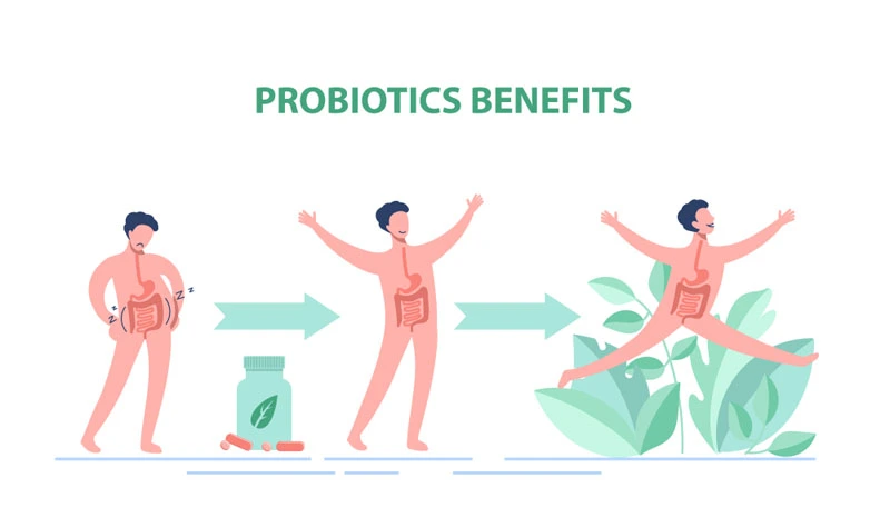 Benefits of Probiotics 