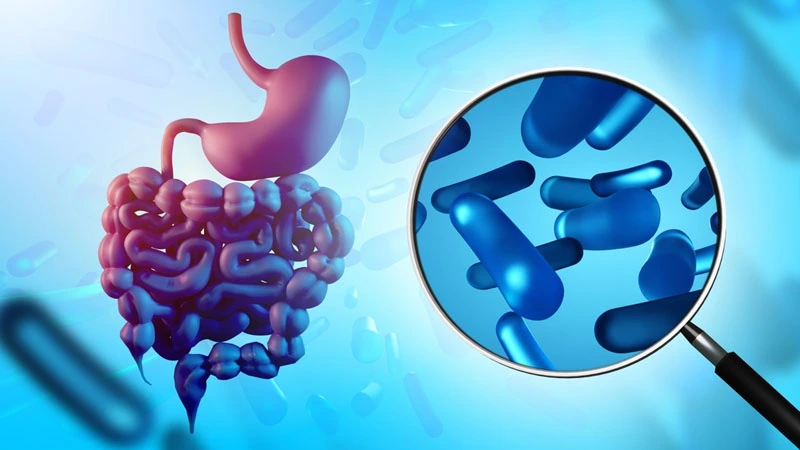 Digestive Enzyme Supplements