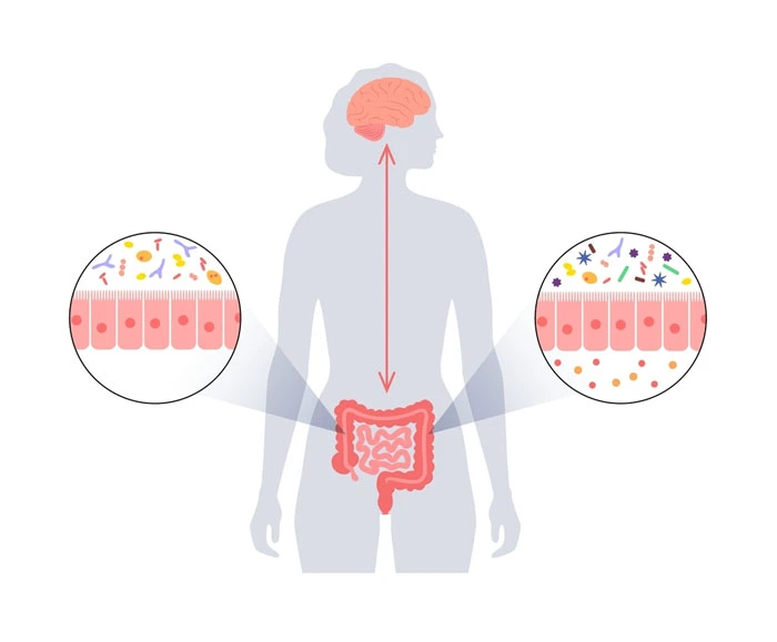 Microbiome Diet