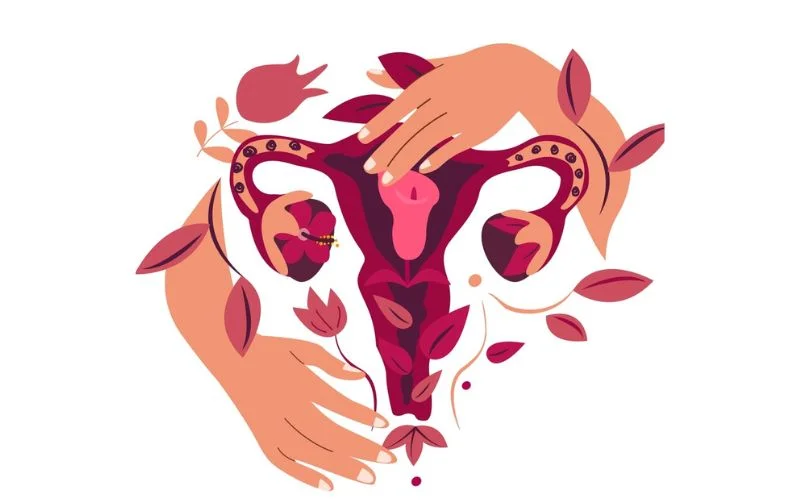 Conceiving-After-Menopause