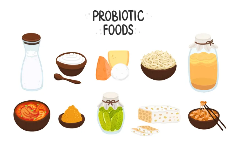 best-food-with-probiotic
