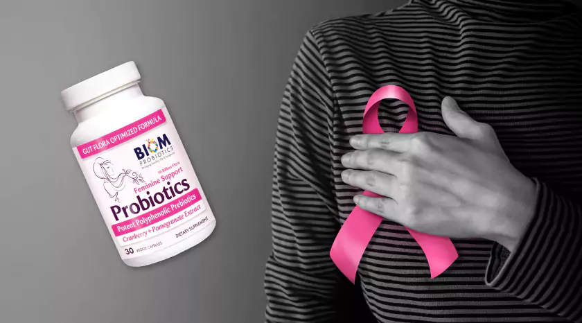 Inflammation and Breast Cancer: The Role of Probiotics