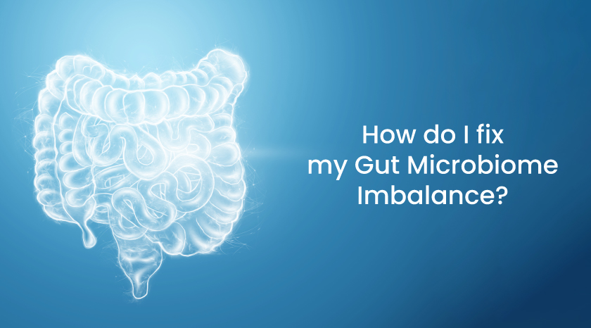 How do I fix my Gut Microbiome Imbalance--Banner