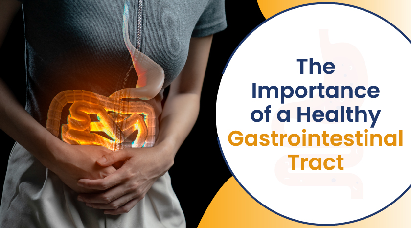 The Importance of a Healthy Gastrointestinal Tract