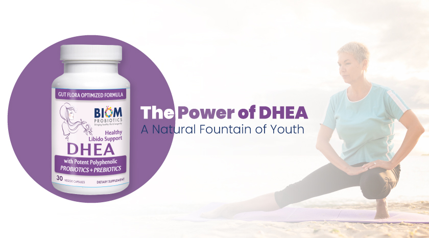 The Power of DHEA A Natural Fountain of Youth