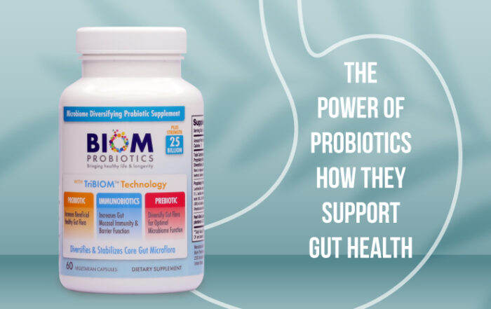 The Power of Probiotics How They Support Gut Health