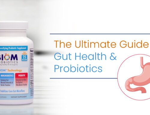 Positive Effects Of Probiotics Benefits Of Probiotics