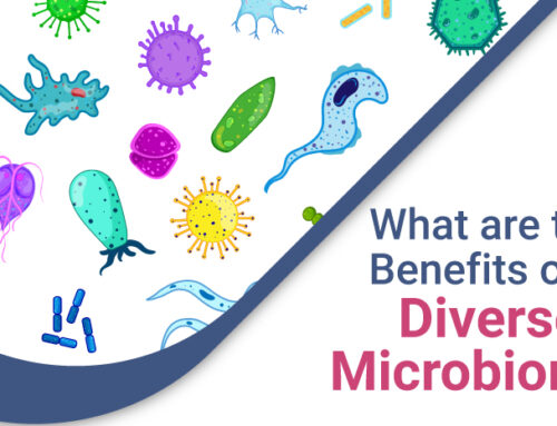 What Are the Benefits of a Diverse Microbiome?