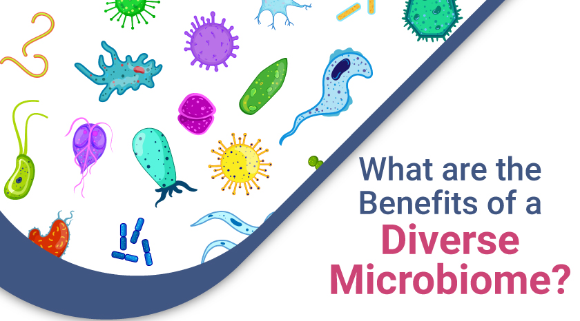 Diverse Microbiome