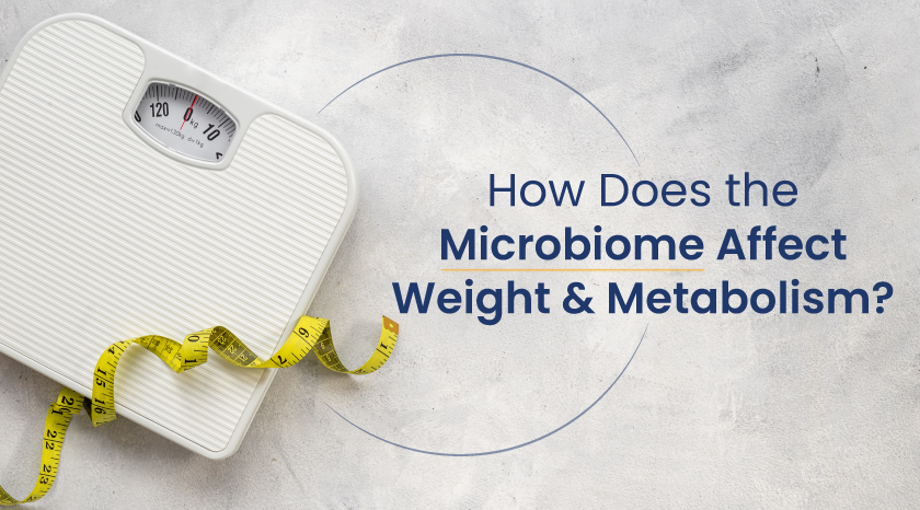 How Does the Microbiome Affect Weight and Metabolism?
