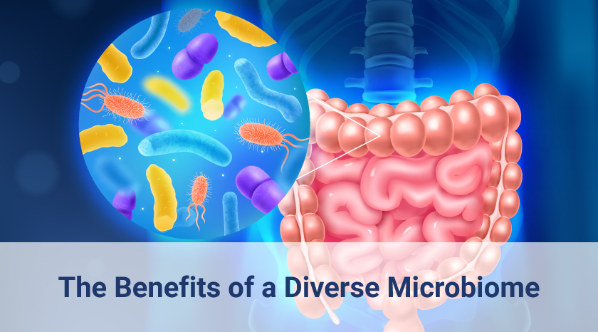 The-Benefits-of-a-Diverse-Microbiome