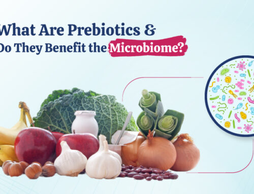 What Are Prebiotics and How Do They Benefit the Microbiome?