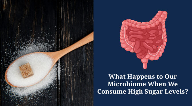What Happens to Our Microbiome When We Consume High Sugar Levels?