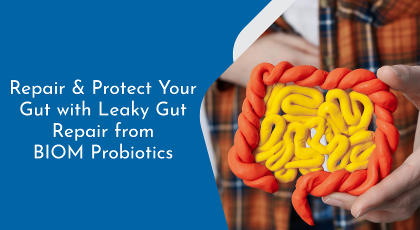 leaky gut repair