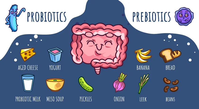 Prebiotics vs Probiotics