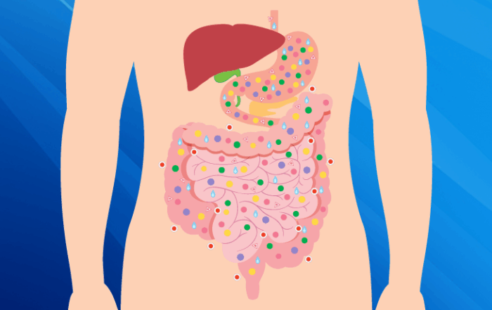 gut microbiome and obesity