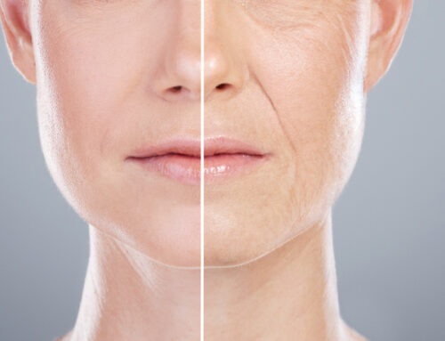 Aging from the Inside Out: The Anti-Inflammatory Power of Probiotics