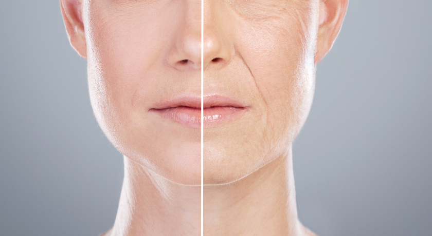 Anti-Inflammatory Power of Probiotics