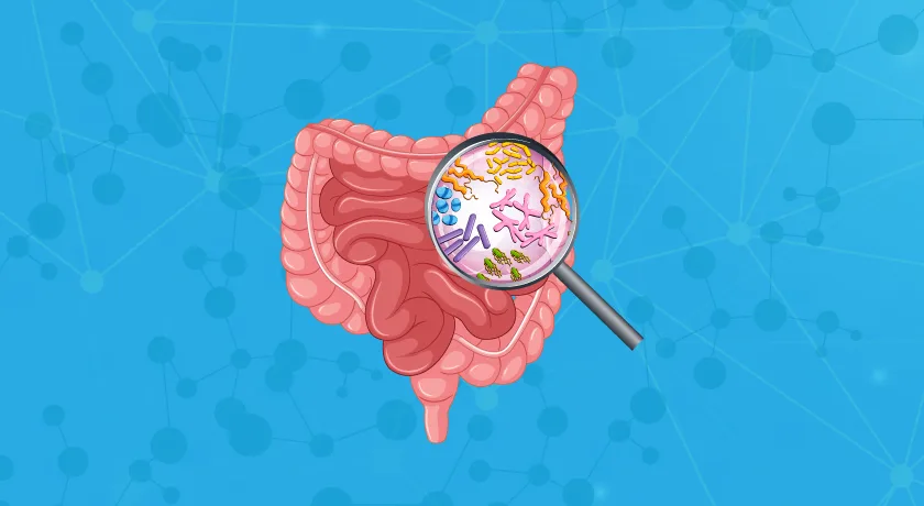 Gut dysbiosis