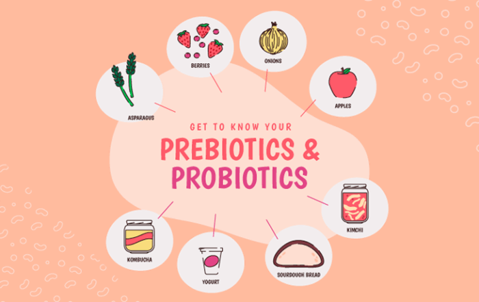 Probiotics and Prebiotics for Health
