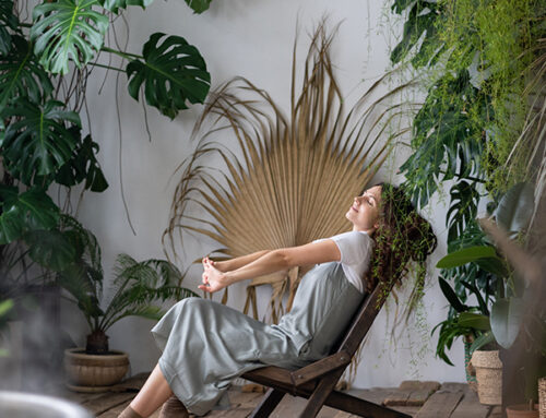 The Quiet Power of Your Inner Ecosystem: Secrets to Daily Harmony