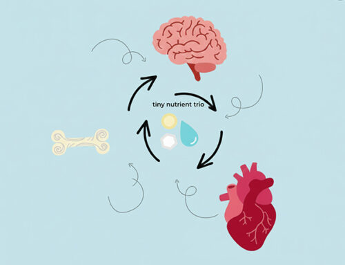 Why Your Bones, Heart, and Brain All Rely on the Same Tiny Nutrient Trio