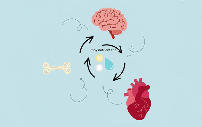 bone heart and brain trio