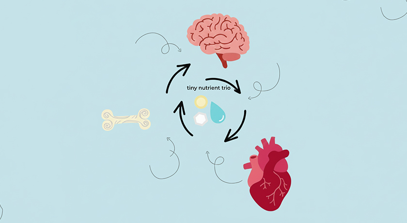 bone heart and brain trio