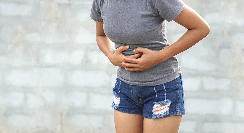 Gut and Immune System