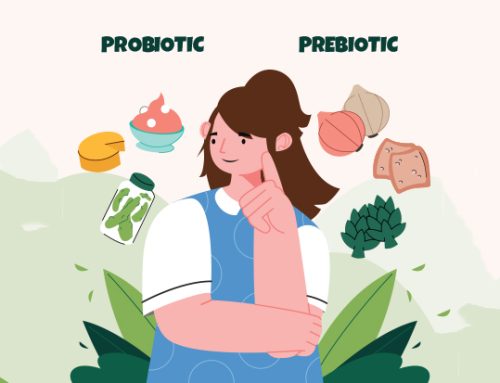 Why Your Probiotic Might Not Be Working Without the Right Prebiotic Fuel