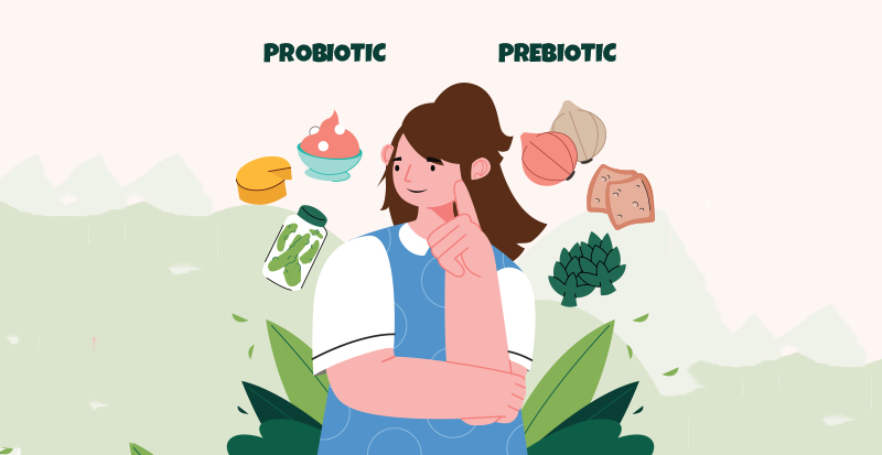 Why Your Probiotic Might Not Be Working Without the Right Prebiotic Fuel