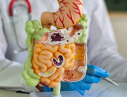 Why Your Stomach Problems Aren’t Going Away – And What Might Fix Them
